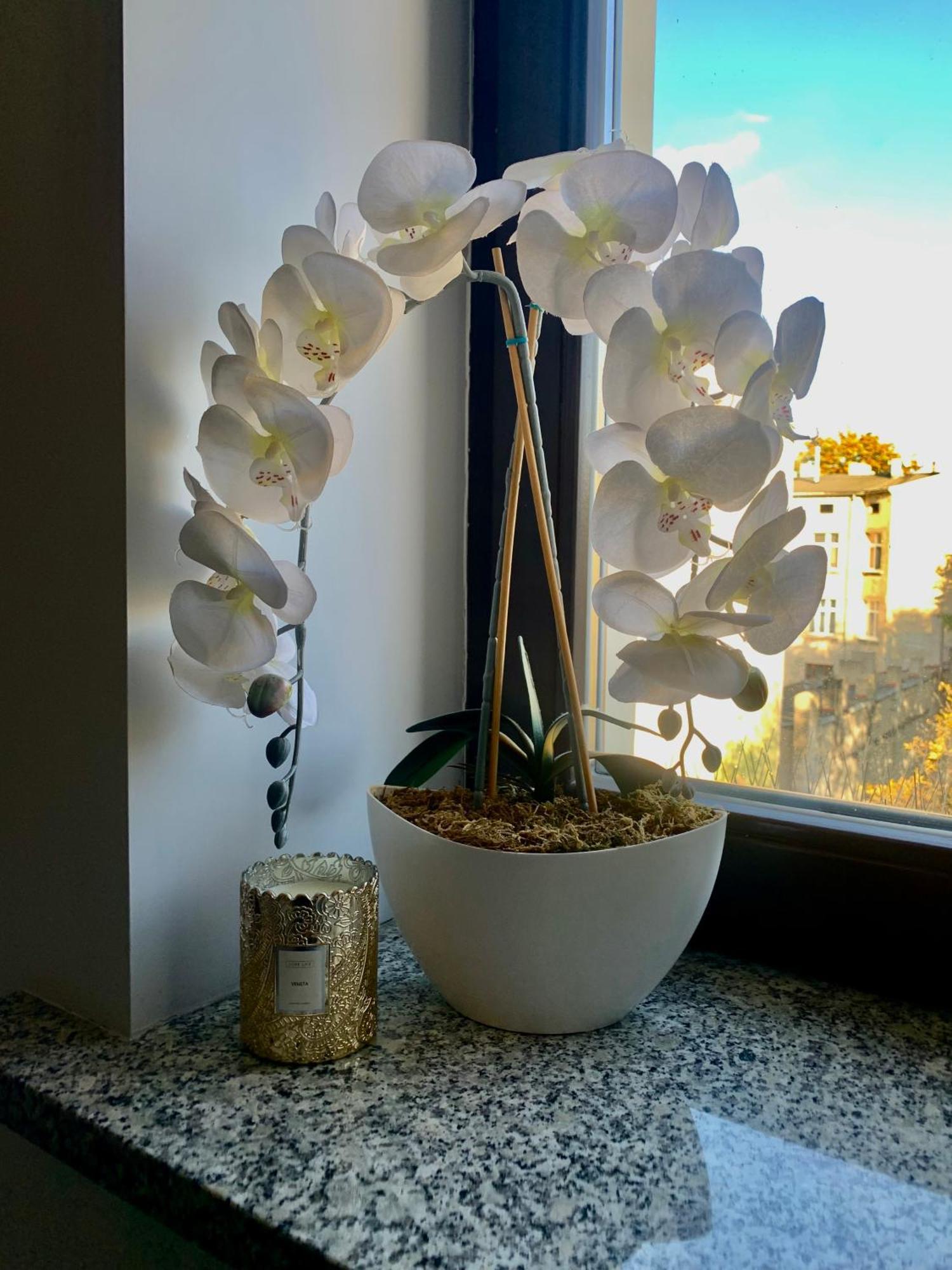 Apartment Kilinskiego Street وودج المظهر الخارجي الصورة